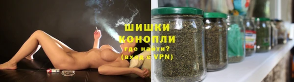 дмт Вяземский