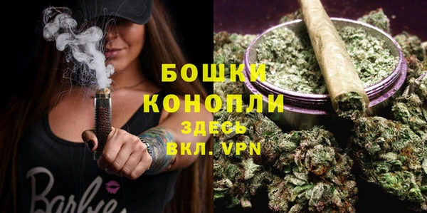 дмт Вяземский