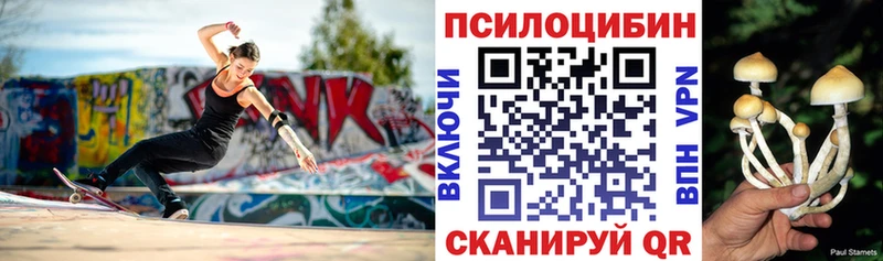 Псилоцибиновые грибы Psilocybe  Купить  Сельцо 